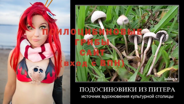 марихуана Весьегонск