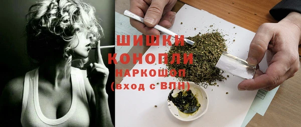ГАЛЛЮЦИНОГЕННЫЕ ГРИБЫ Гусь-Хрустальный