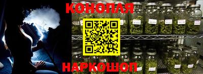 Альфа ПВП Камышлов