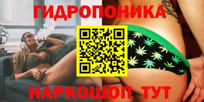 Альфа ПВП Камышлов