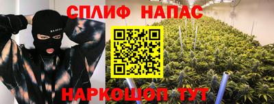 Альфа ПВП Камышлов