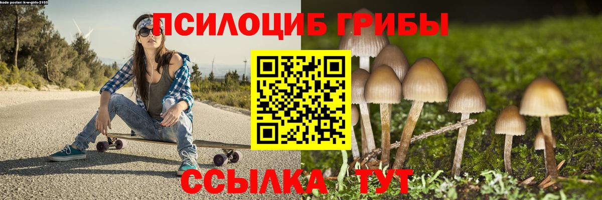 Зеленогорск  Галлюциногенные грибы Cubensis  Вход с VPN  Псилоцибиновые грибы мицелий 